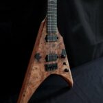 Modèle DEMONIA "AIM"